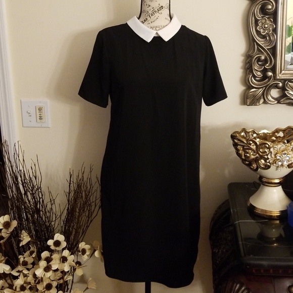 Primark Dresses & Skirts - Black flowy white collar dress